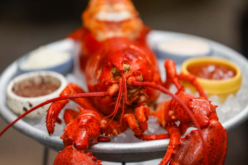 A list of most exciting restaurants in Dallas-Fort Worth in 2023 naturally includes those on...
