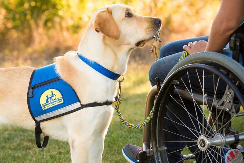 Canine Companions for Independence