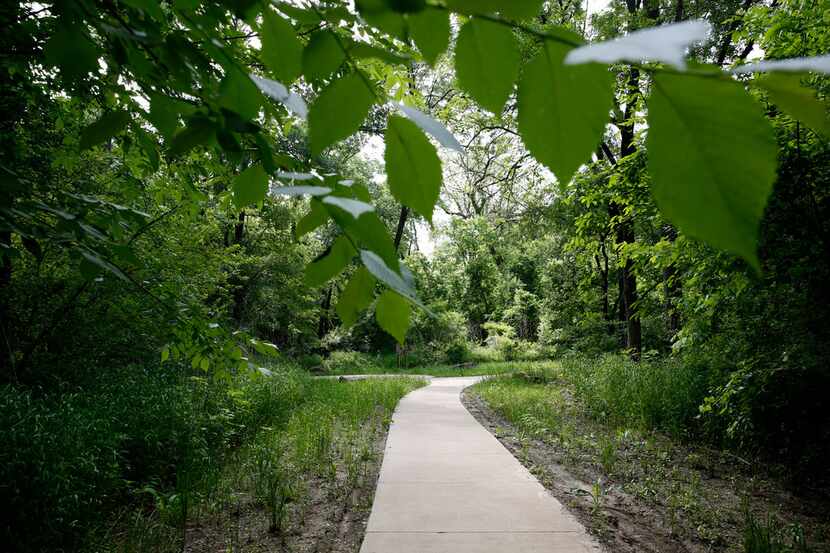 The Texas Buckeye Trail in the Great Trinity Forest is pictured here. Southern Dallas' trail...