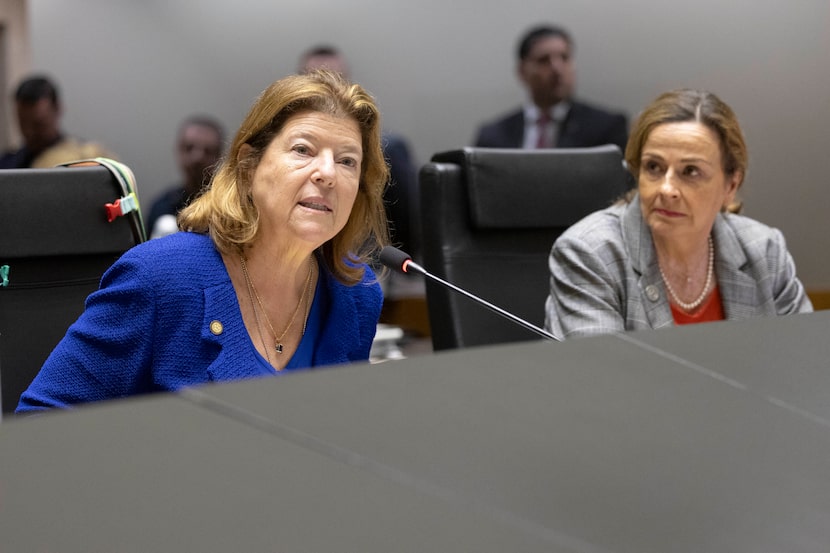 Council member Jaynie Schultz (left) spoke during a Dallas City Council meeting as council...