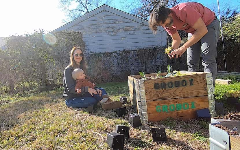 Rick Baraff and Courtney Miles Baraff plant GroBox gardens with their 17-month old twins,...