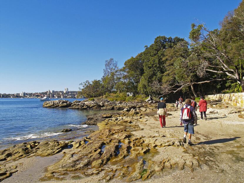 Forty Baskets Beach on the Manly to the Spit Bridge walk in Sydney, Australia, was named so...