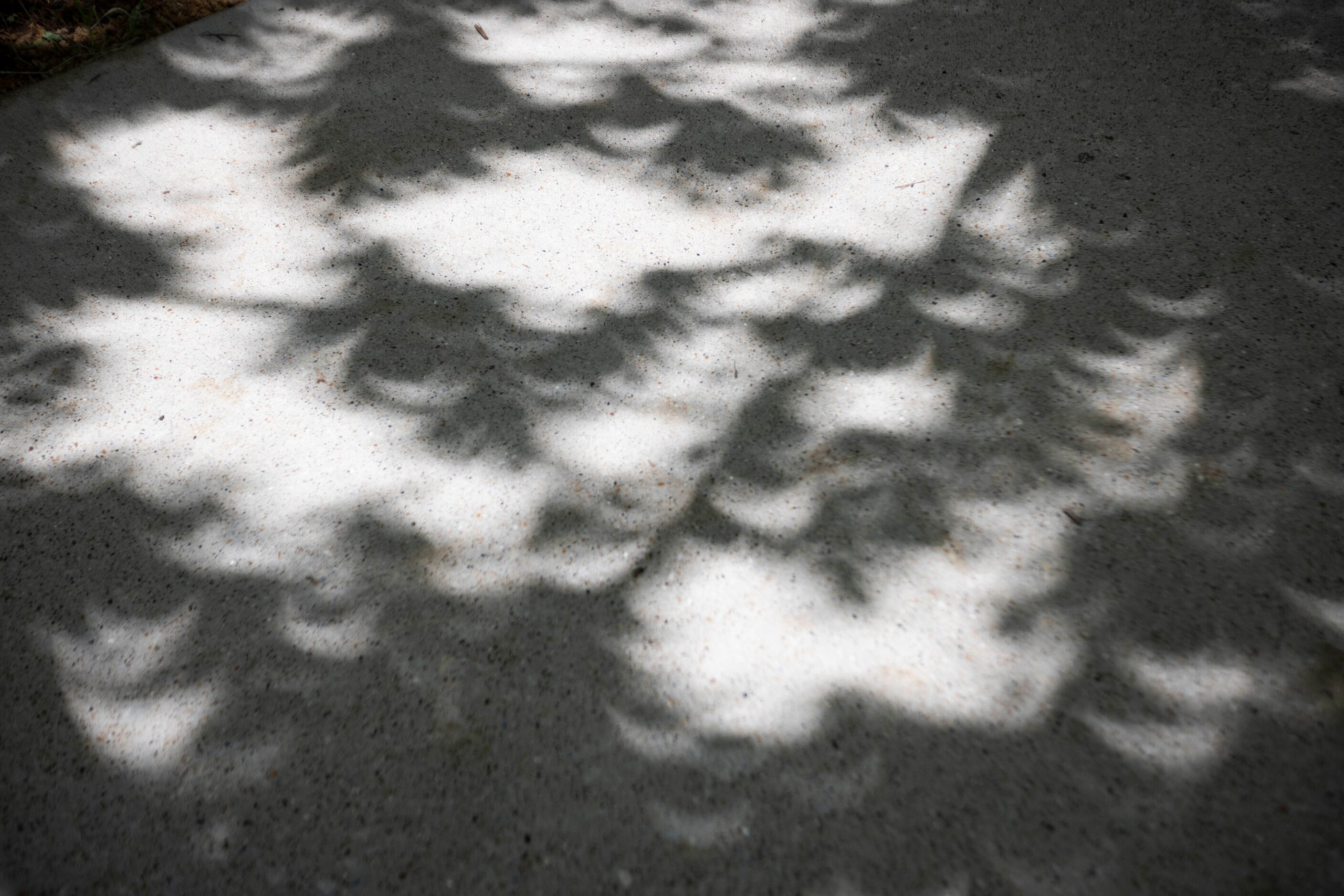 Crescent shaped shadows seen as a result of the eclipse during the Great North American...