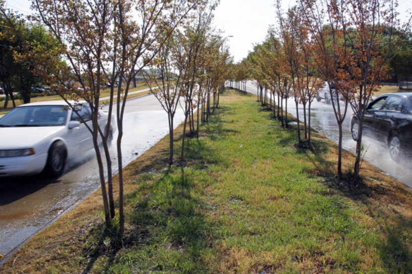 Cars traveling the newly widened Samuell Boulevard drive through runoff water from...