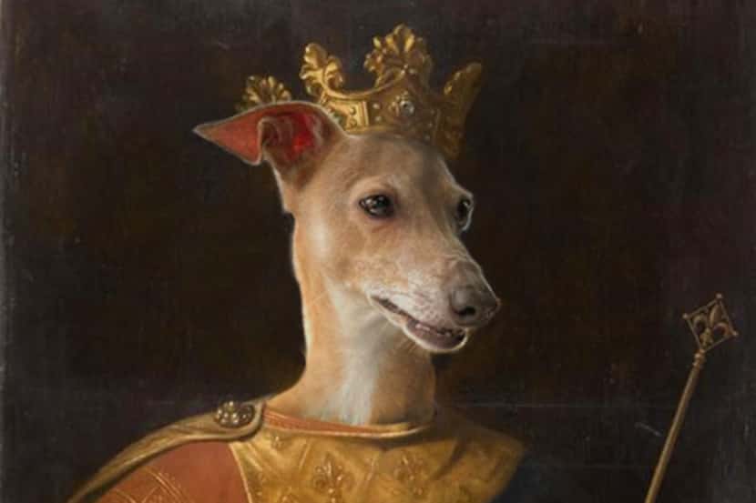 A Plano Public Library virtual workshop will cover how to turn your pet into a Renaissance...