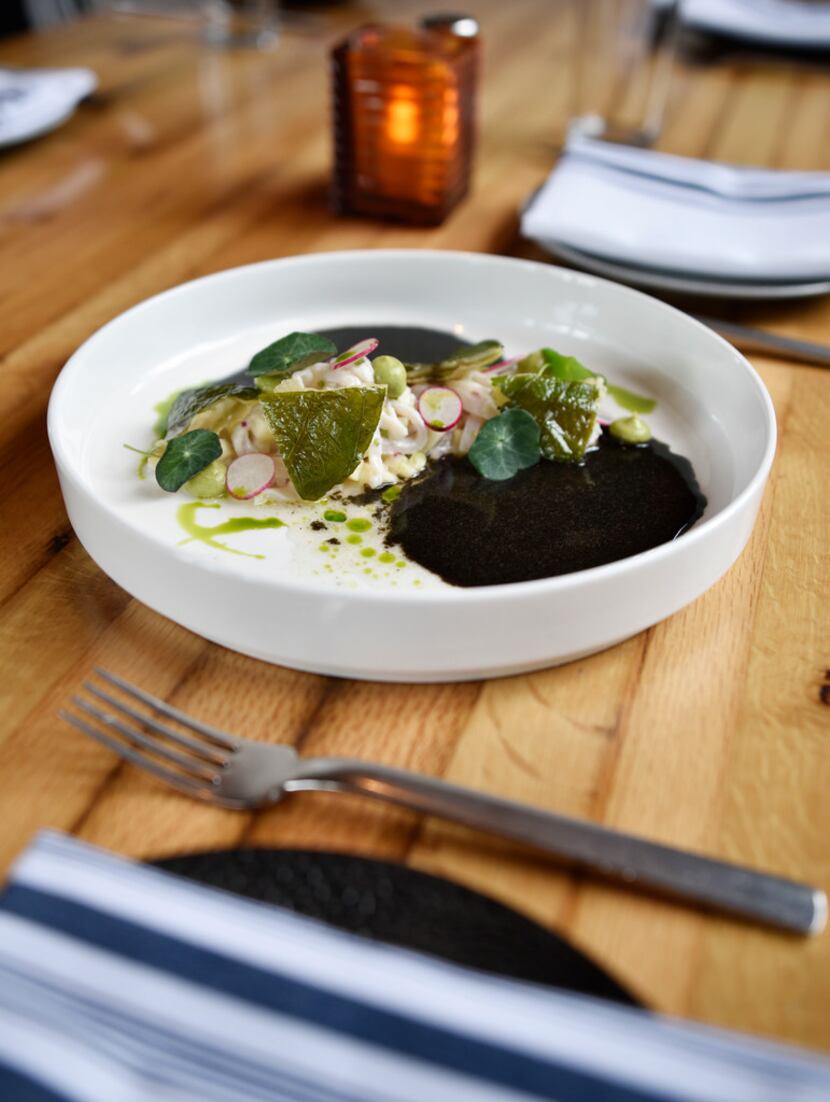 A dish of Black Habanero Ash Ceviche with Hoja Santa Tostadas from Jalisco Norte in Dallas.
