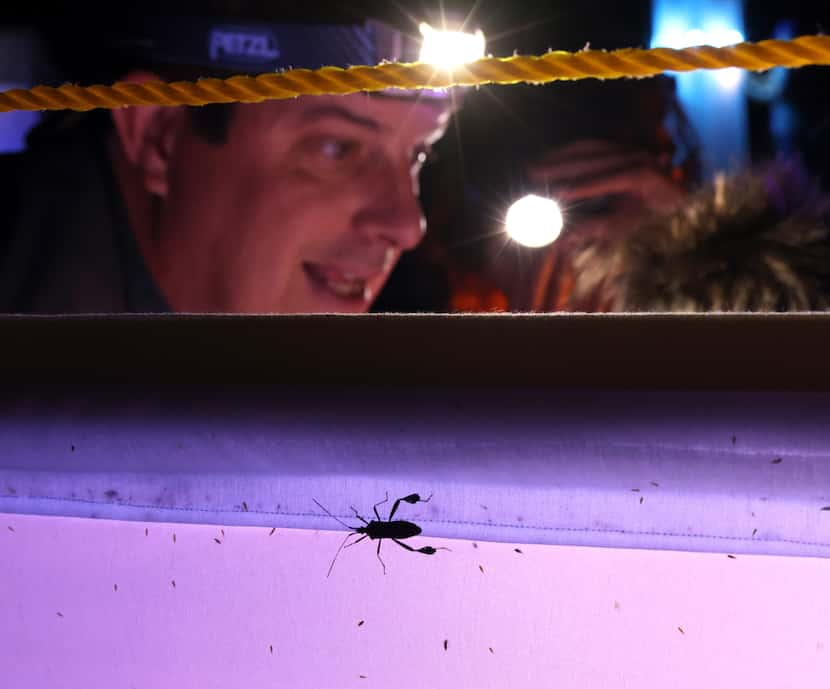 Sam Kieschnick, left upper, of the Texas Department of Wildlife, helps young nature...