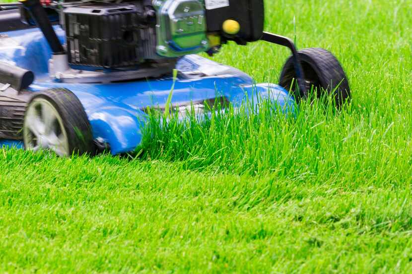 Its a good idea to have your lawn mower serviced by a professional before tackling that...