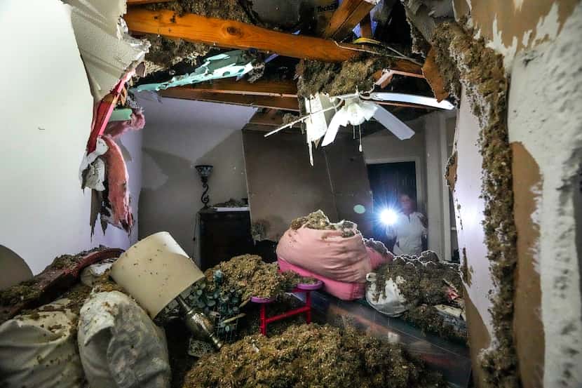 Monica Pease surveys the damage to her home after several trees fell on it during a severe...