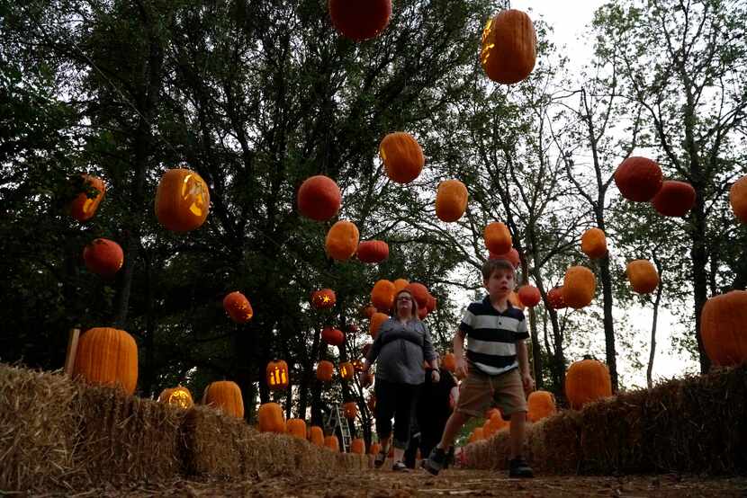 Visitors walk the pathway through Pumpkin Nights.