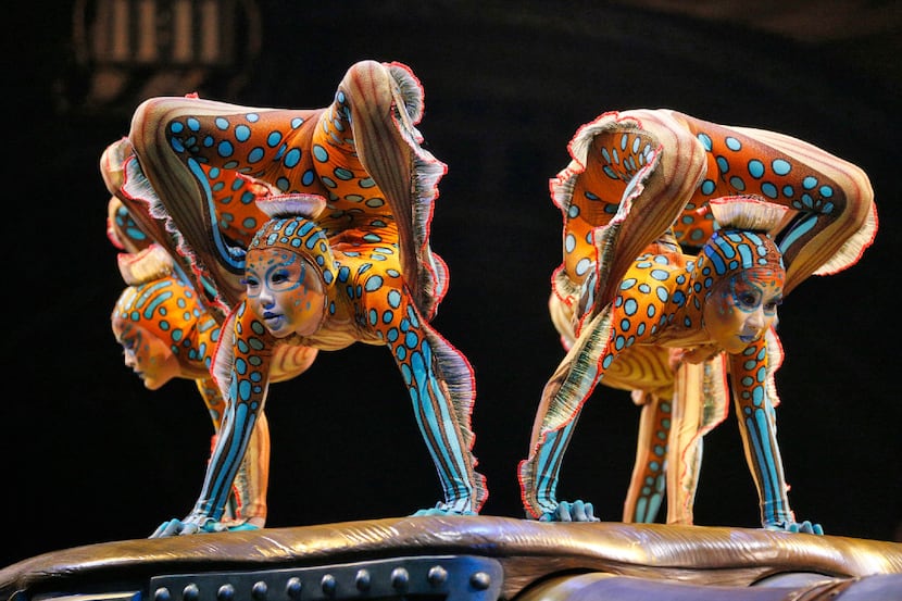 Contortionist perform during Cirque Du Soleil's Kurious Cabinet of Curiosities in Grand...