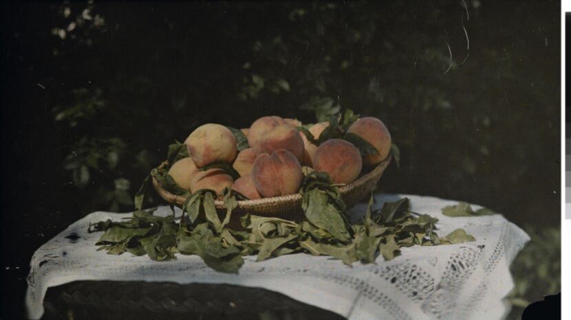 Laura Gilpin (1891-1979); [Basket of peaches]; 1912; Additive color screen plate...