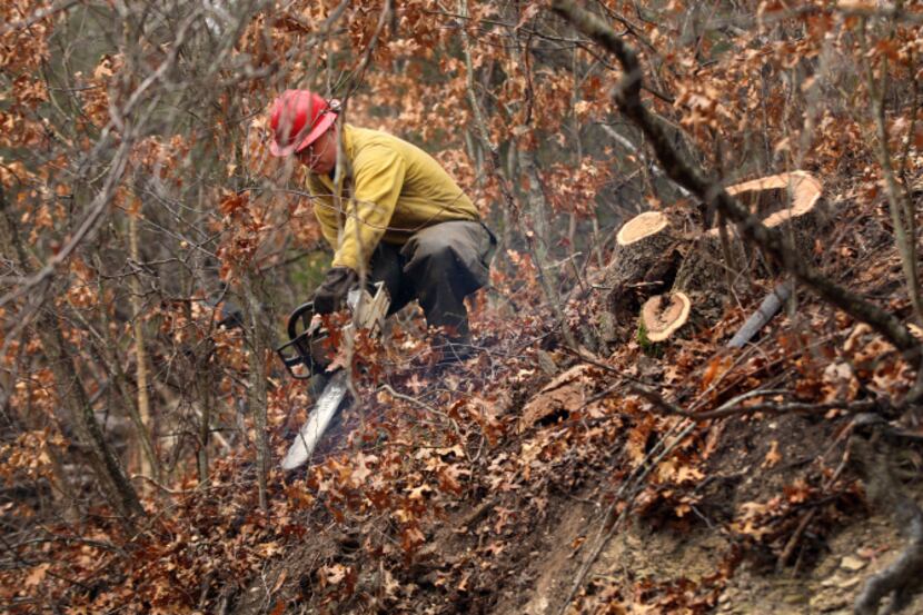 Steven Moore, part of a crew from the Texas A&M Forest Service, cuts understory growth to...