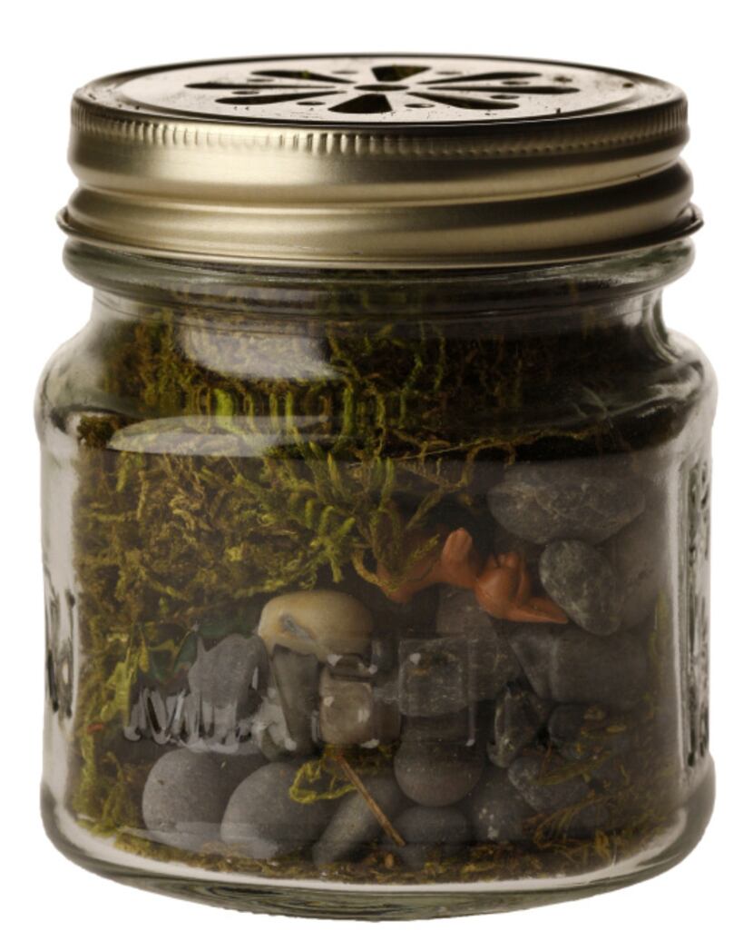 Pint-size: No searching for ingredients with the Tiny Terrarium Kit, which includes a glass...