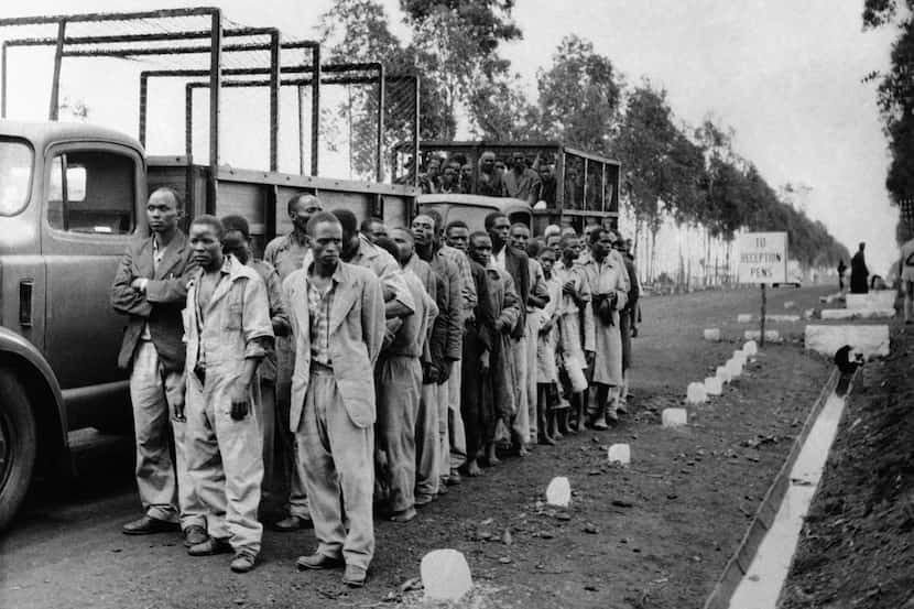 Two lorry loads transporting Kikuyu people arrive at a reception camp outside Nairobi,...