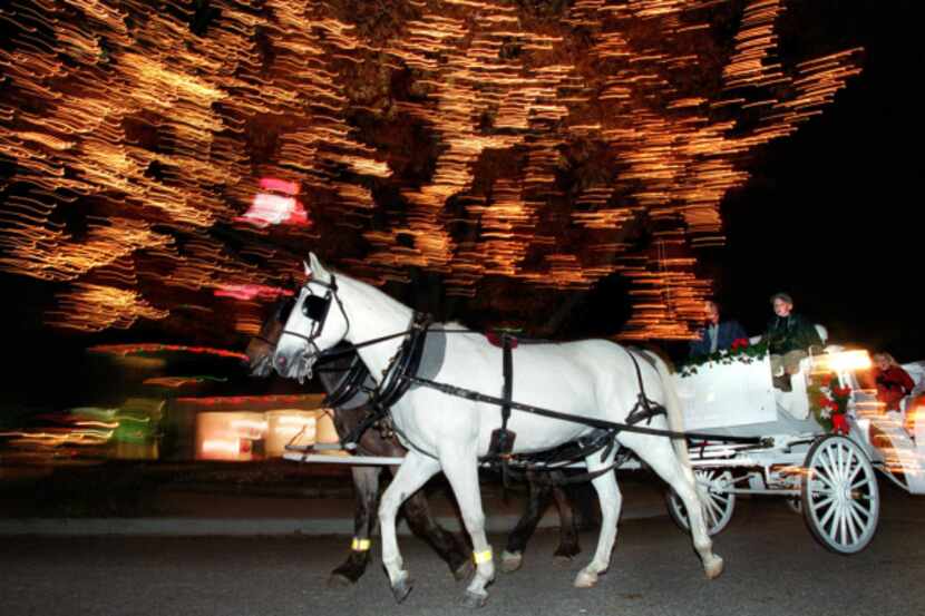 Horse-drawn carriages, which are a common sight in Highland Park during the Christmas...