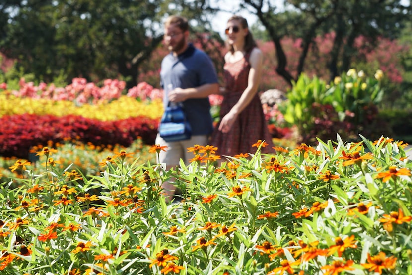 The fall is drawing near at the Dallas Arboretum  in Dallas, TX on  September 2, 2017....