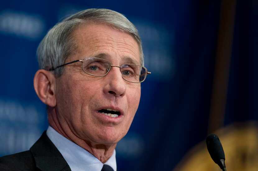 National Institute of Allergy and Infectious Diseases Director Anthony Fauci.