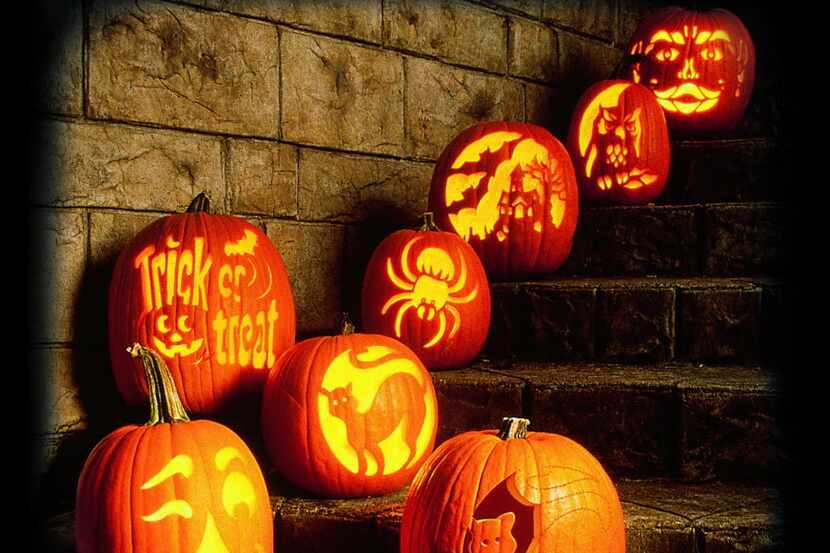 Carved pumpkins showcase various designs just in time for Halloween.
