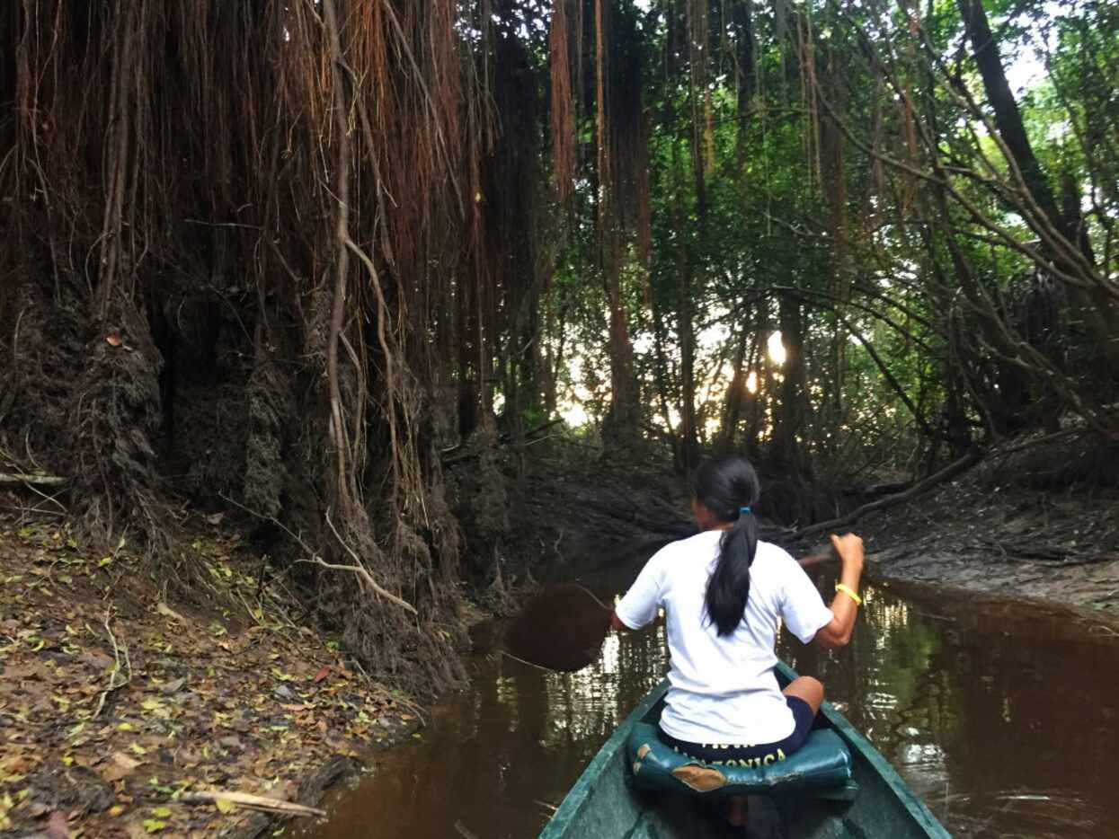 Motorboat and canoe excursions are daily options for exploring the jungle.