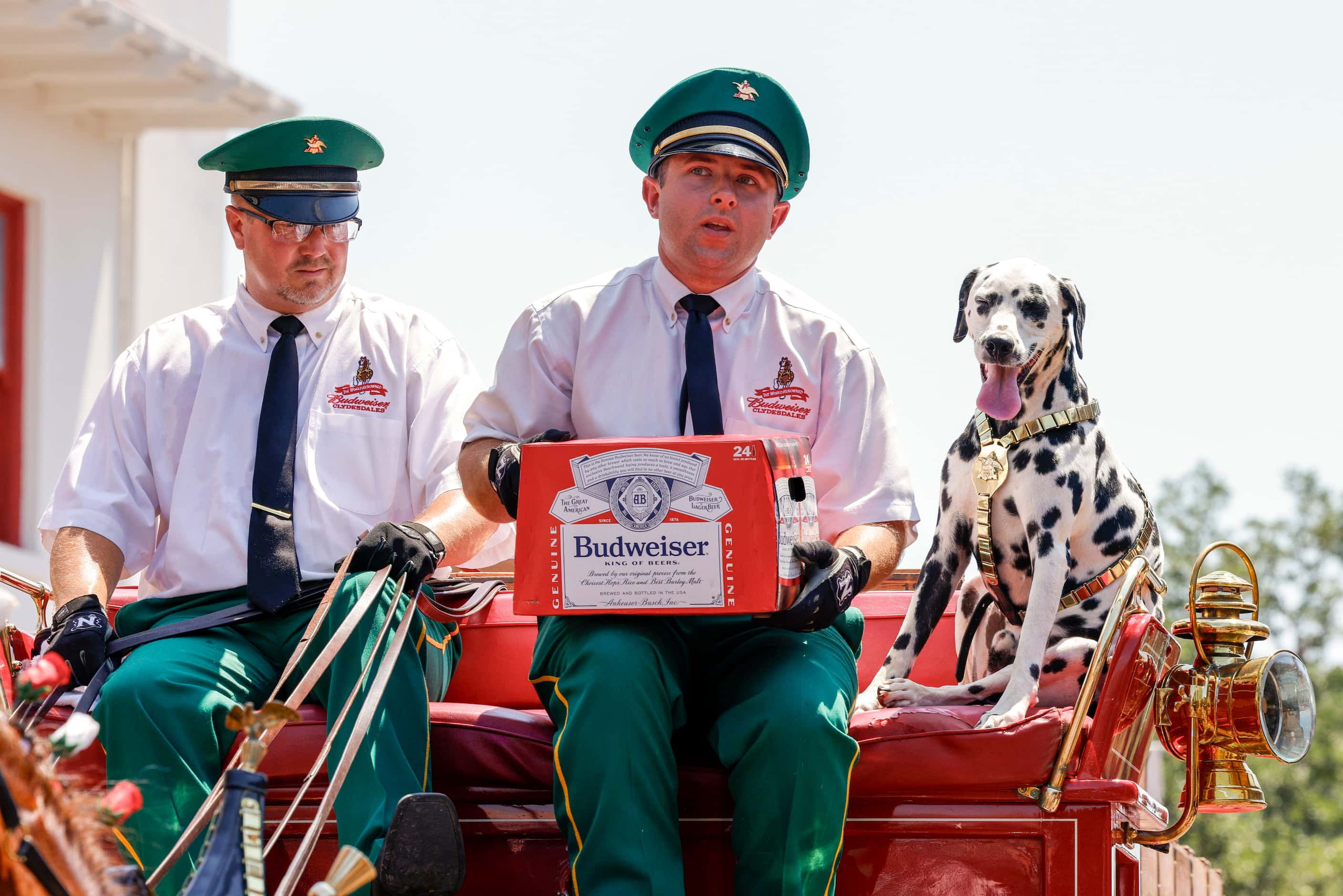 Budweiser Clydesdales hitch drivers Brady Braden (left) and Alec Smith sit atop the...
