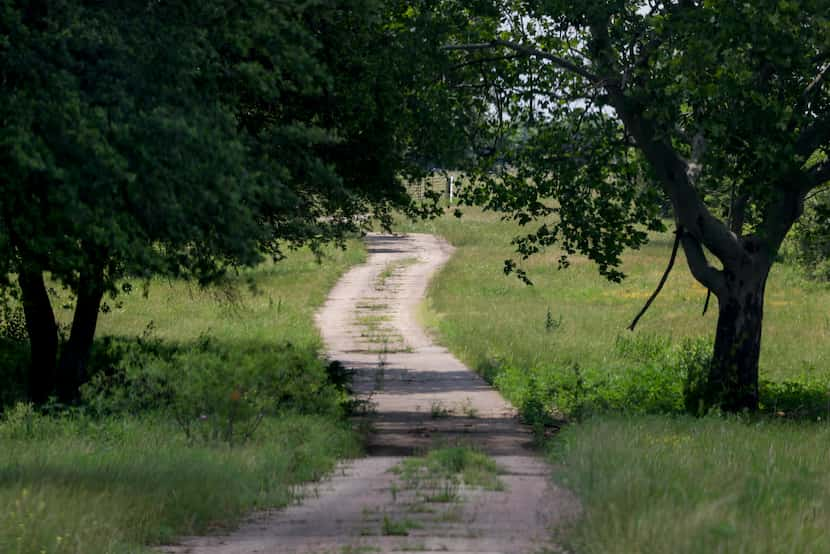 Roads inside the former Hi View Ranch in Ellis County. .