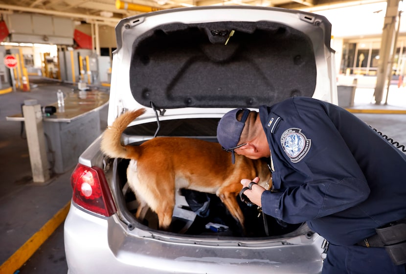 U.S. Customs and Border Protection K-9 officer Jose Espinoza leads his dog, Taz, through a...