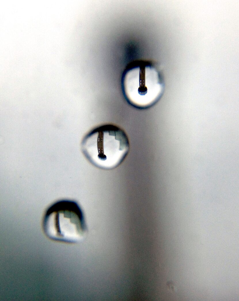 Reunion Tower is refracted in rain drops as cold and wet weather covered the D-FW area in...