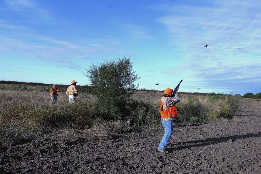 Quail hunters in southern Texas (Photo by Ray Sasser)