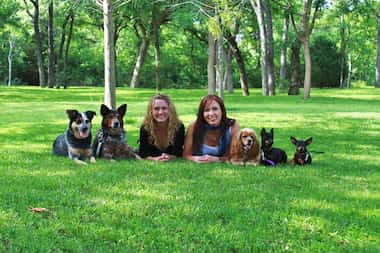 Two female dog trainers surrounded by five dogs