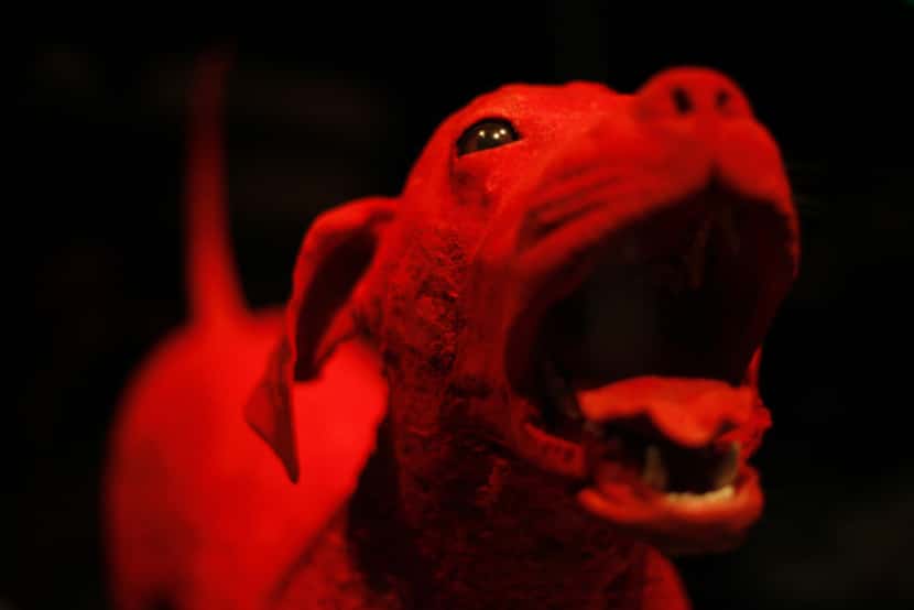 The blood vessel configuration of a dog during opening day of "Animals inside out" at Perot...