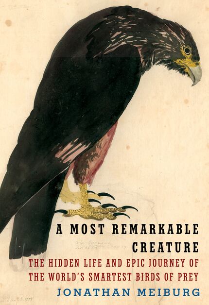In “A Most Remarkable Creature: The Hidden Life and Epic Journey of the World’s Smartest...