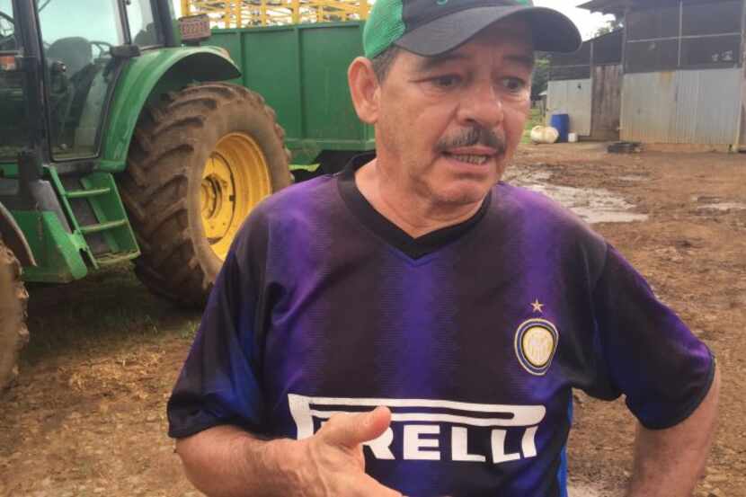 Farmer Jose Pepe Castro Otarola, who grows USDA-certified pineapples, says that a Del...