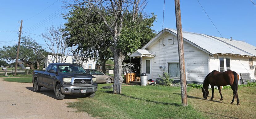 A horse grazes in the yard of a home on Post Oak Street in Moran, Texas, photographed on...