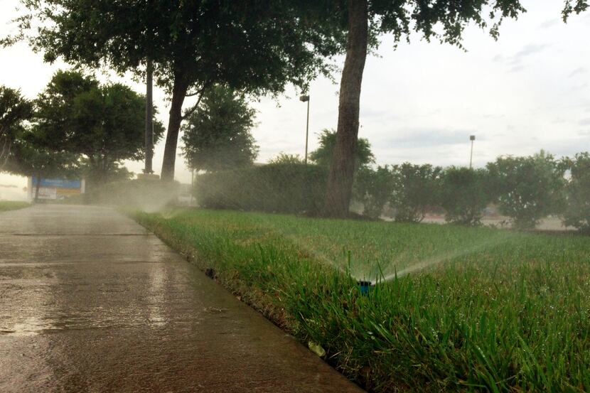Sprinklers at a commercial site sprayed grass, sidewalks and the street on a rainy day near...