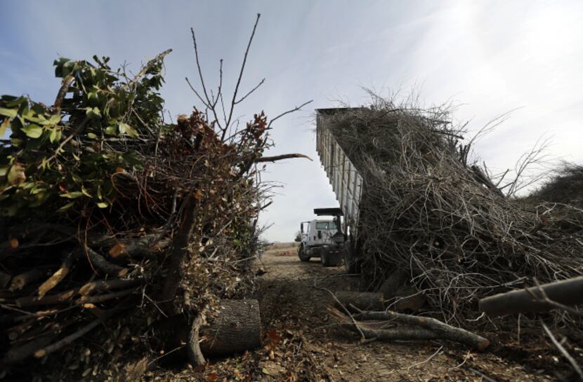 A city of Garland truck dumped a load of storm debris at the Hinton Landfill. More than...