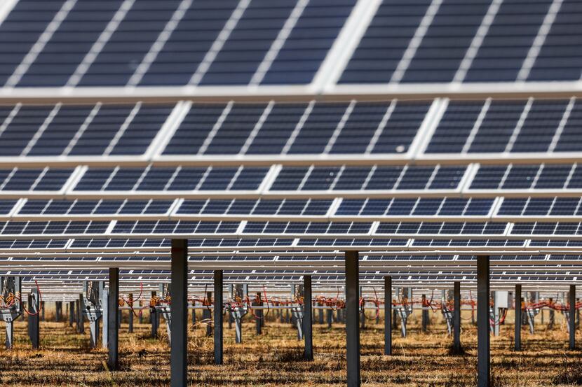 Solar panels at Lily Solar in Scurry, Texas, in  August  2022. Texas power grid operator...