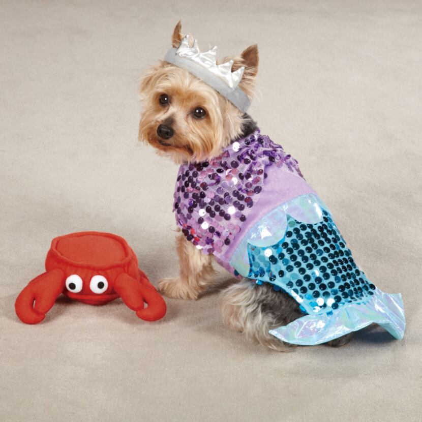 The little mermaid from PetEdge comes in sizes from extra-small to extra-large. $21.99 to...