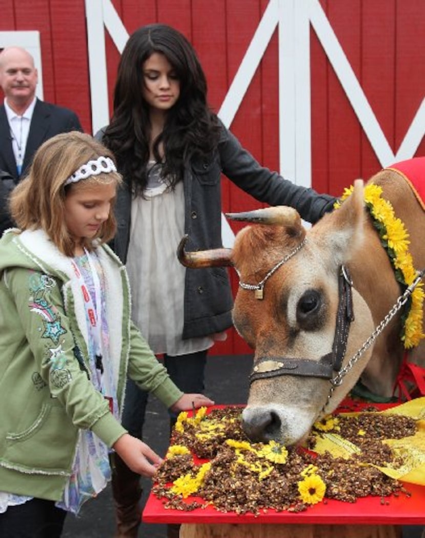 Disney star Selena Gomez (right) watches Borden's Elsie the Cow eat a specially made cake as...