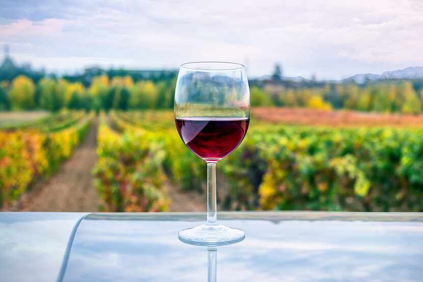 a lone glass of wine sits on an outside table with view of vineyard