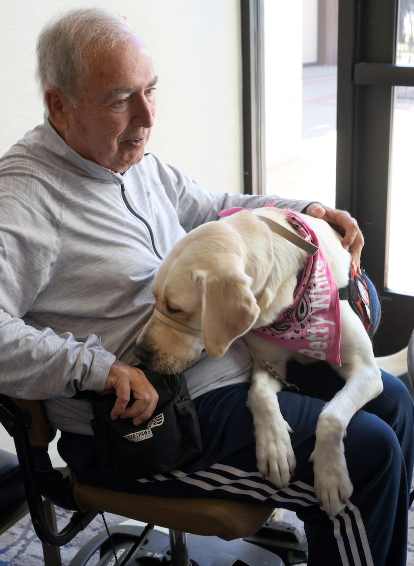 Army veteran Armando Alonzo takes in a quiet moment as his new family member, Labrador Betty...