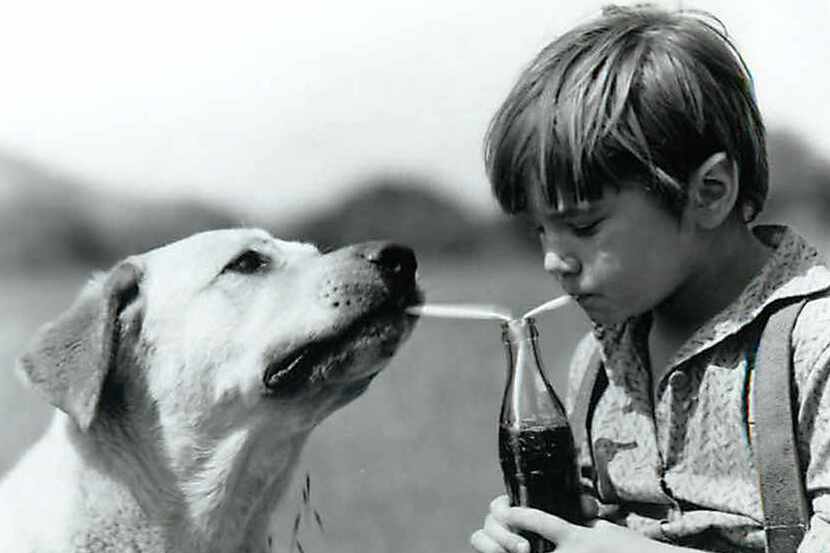 Kevin Corcoran and Old Yeller share a soda on the set of Disney's 'Old Yeller.' Corcoran...