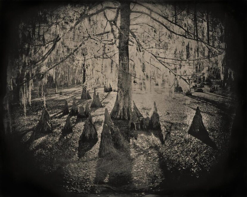 

Keith Carter’s “Cypress Swamp No. 1, 2013” from “Ghostland.”


