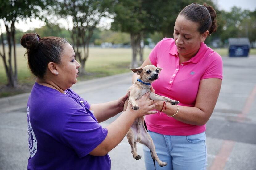 Supervisor Angie Chavez, left, takes Yolando Avila's dog, Spot, at a mobile spay and neuter...