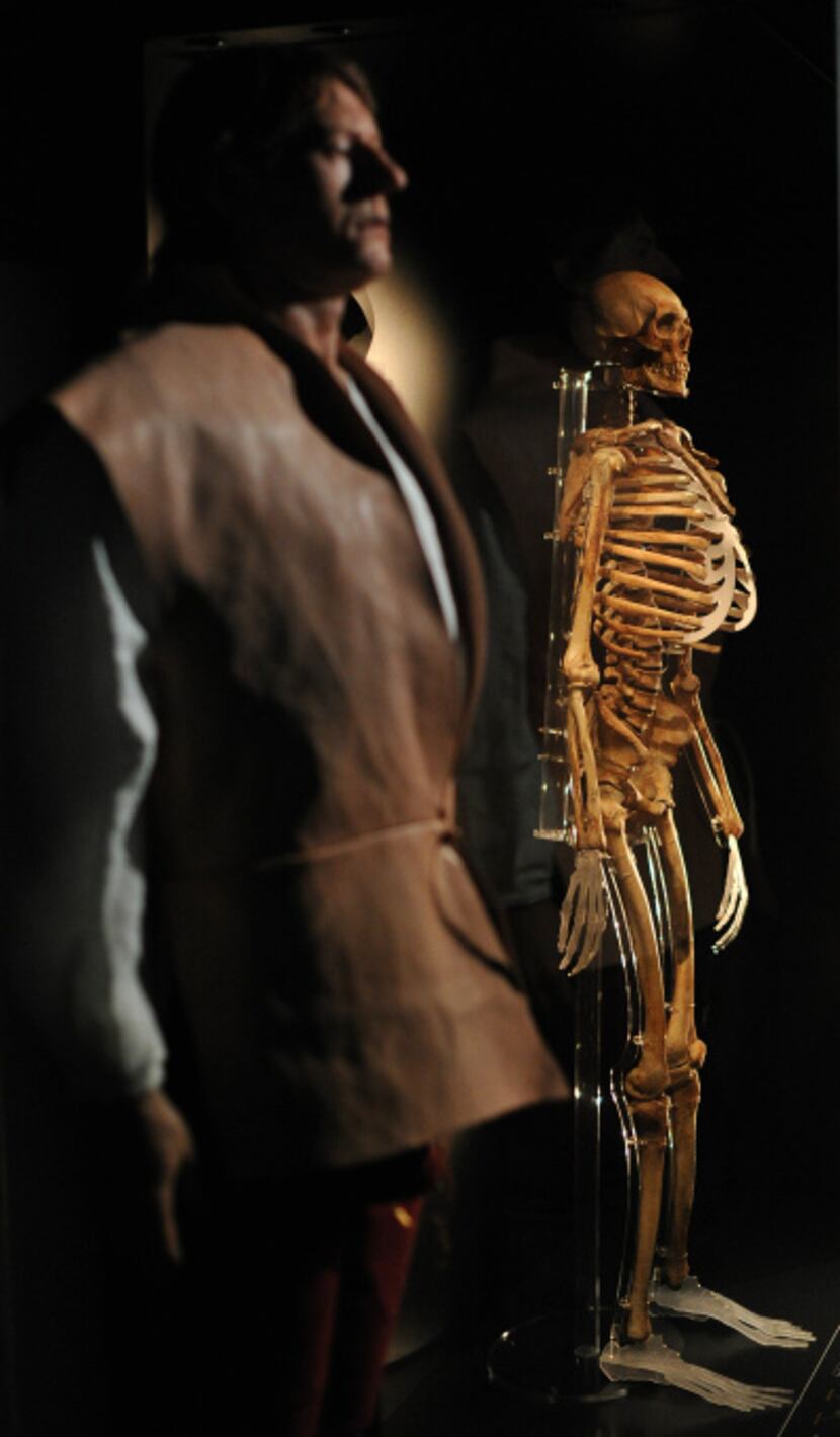 The skeleton of an archer recovered from the wreck of the Tudor warship Mary Rose is on...