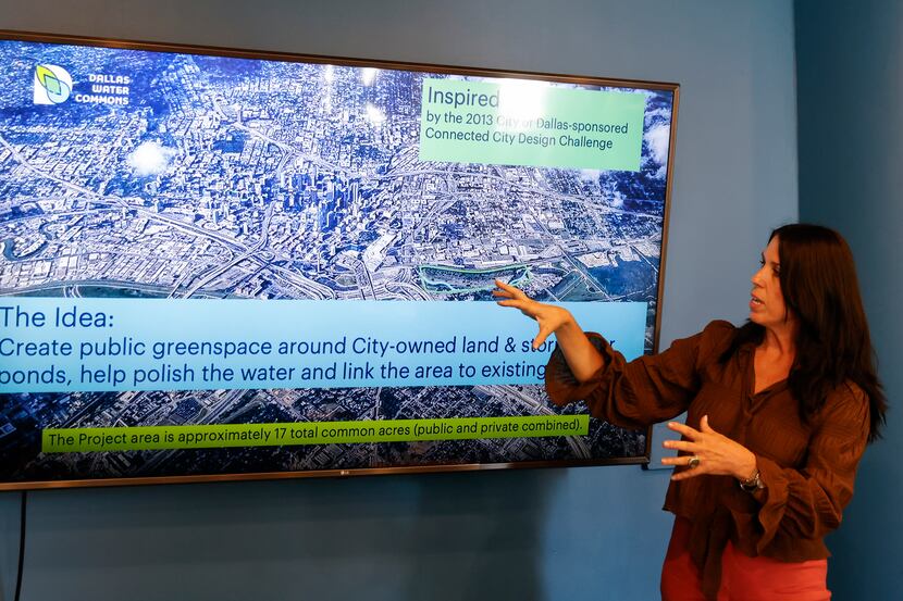 Dallas Water Commons director Melanie Ferguson explained the wetlands project during a news...