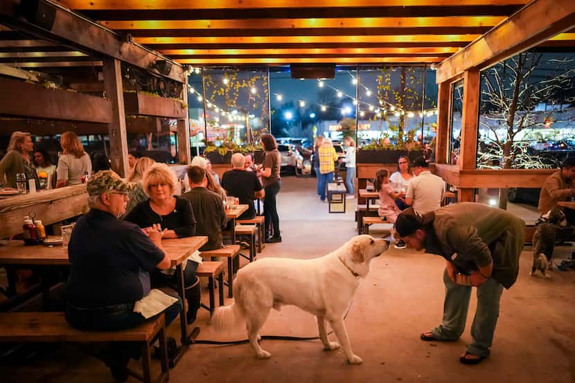 Bryon and Tina Studdard relax on the dog-friendly patio at Goodfriend while their dog Dakota...