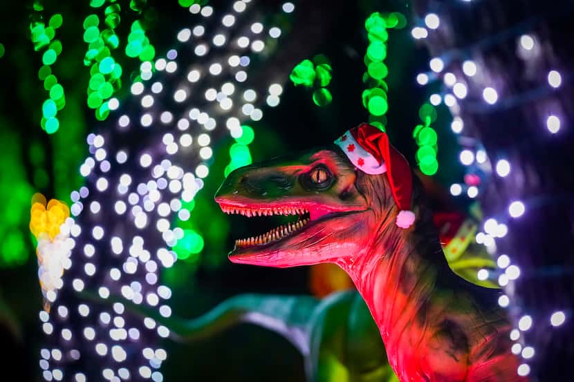 A dinosaur replica is seen wearing a Santa hat during Dallas Zoo Lights on Wednesday, Nov....