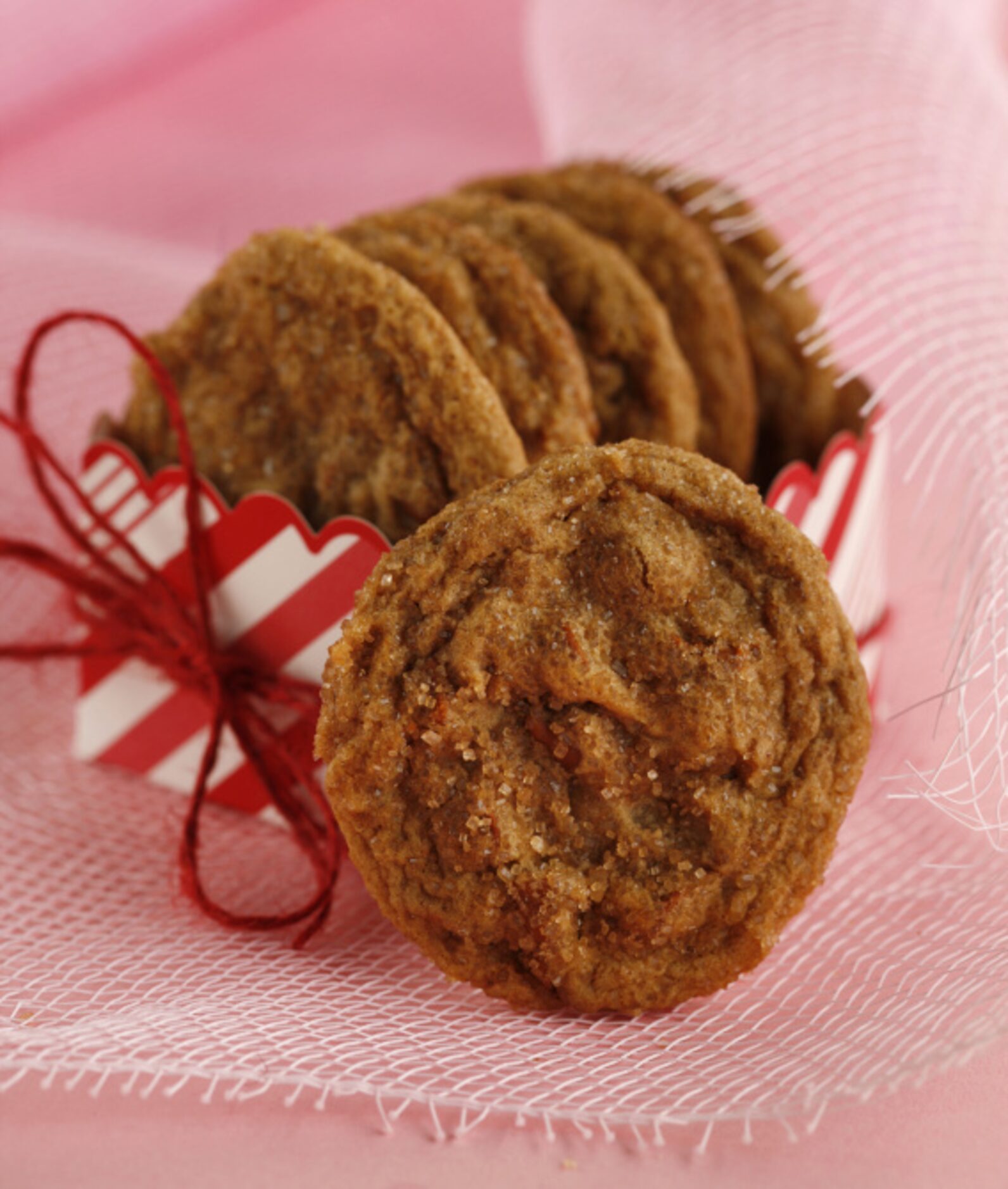 First place in the Family category: "Spicy Molasses Cookies with Cinnamon Chips", by Karen...