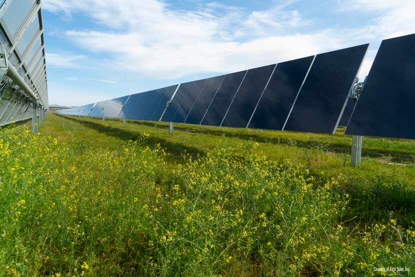 Solar panels operated by Dallas-based Leeward Renewable Energy.